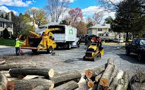 Best Tree Mulching Services  in Woods Hole, MA